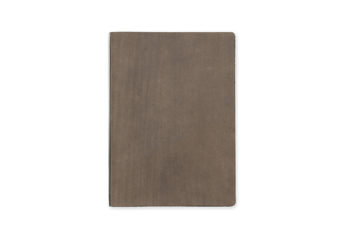 #color_horse hair gray