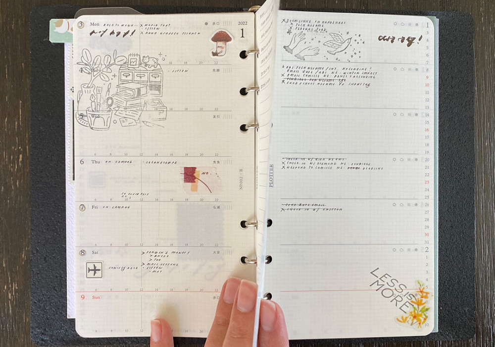 Example of Weekly Schedule Diary Refills in Bible Size PLOTTER Leather Binder.