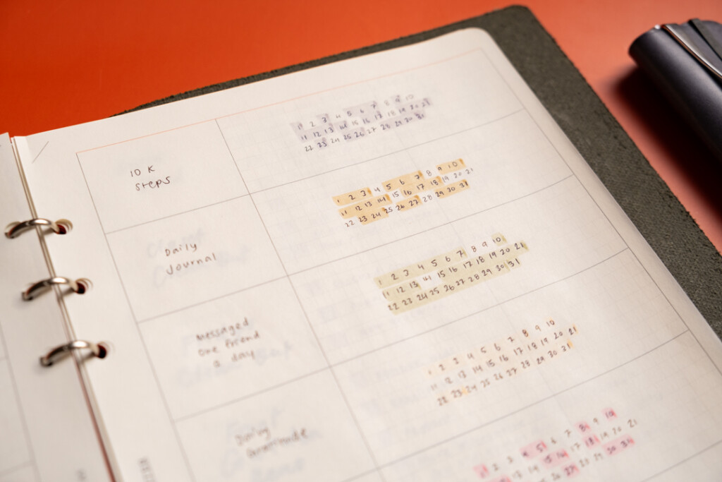 Close-up of A5 Chart Grid refill used as a monthly habit tracker.