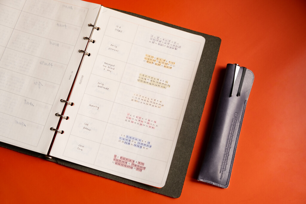 A5 Chart Grid refill used as a monthly habit tracker.