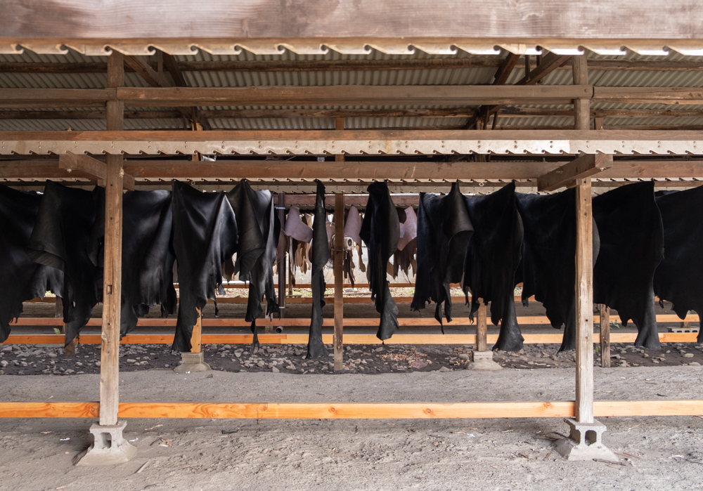Cow hides drying on wooden racks.